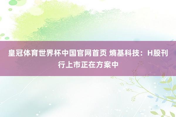 皇冠体育世界杯中国官网首页 熵基科技：H股刊行上市正在方案中