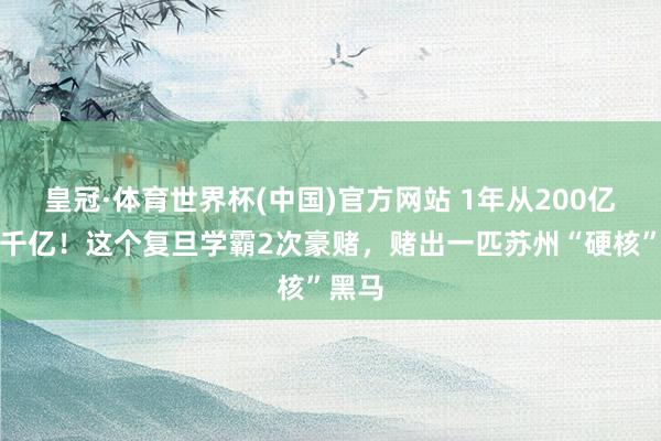皇冠·体育世界杯(中国)官方网站 1年从200亿冲破千亿!这个复旦学霸2次豪赌,赌出一匹苏州“硬核”黑马
