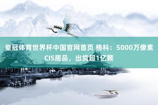皇冠体育世界杯中国官网首页 格科:5000万像素CIS居品,出货超1亿颗