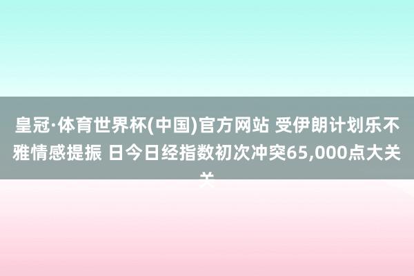 皇冠·体育世界杯(中国)官方网站 受伊朗计划乐不雅情感提振 日今日经指数初次冲突65,000点大关