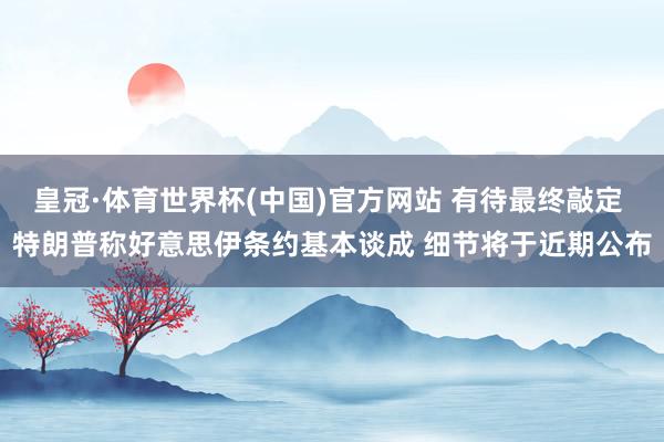 皇冠·体育世界杯(中国)官方网站 有待最终敲定 特朗普称好意思伊条约基本谈成 细节将于近期公布