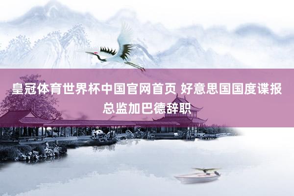 皇冠体育世界杯中国官网首页 好意思国国度谍报总监加巴德辞职