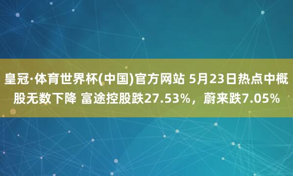 皇冠·体育世界杯(中国)官方网站 5月23日热点中概股无数下降 富途控股跌27.53%,蔚来跌7.05%