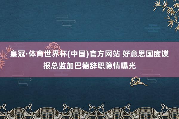 皇冠·体育世界杯(中国)官方网站 好意思国度谍报总监加巴德辞职隐情曝光