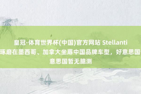 皇冠·体育世界杯(中国)官方网站 Stellantis CEO:琢磨在墨西哥、加拿大坐蓐中国品牌车型,好意思国暂无臆测