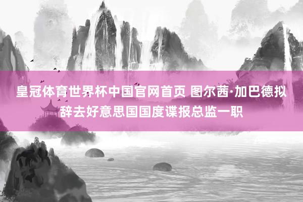 皇冠体育世界杯中国官网首页 图尔茜·加巴德拟辞去好意思国国度谍报总监一职