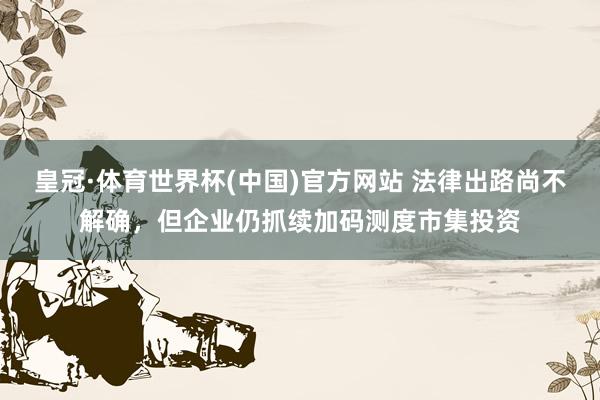 皇冠·体育世界杯(中国)官方网站 法律出路尚不解确,但企业仍抓续加码测度市集投资