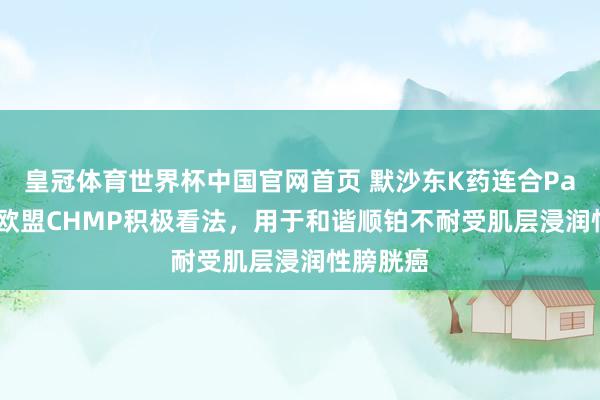 皇冠体育世界杯中国官网首页 默沙东K药连合Padcev获欧盟CHMP积极看法,用于和谐顺铂不耐受肌层浸润性膀胱癌