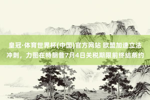 皇冠·体育世界杯(中国)官方网站 欧盟加速立法冲刺,力图在特朗普7月4日关税期限前终结条约