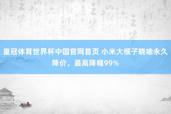 皇冠体育世界杯中国官网首页 小米大模子晓喻永久降价,最高降幅99%