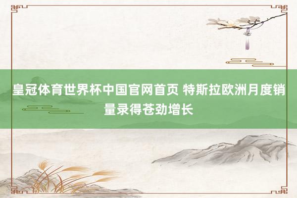 皇冠体育世界杯中国官网首页 特斯拉欧洲月度销量录得苍劲增长