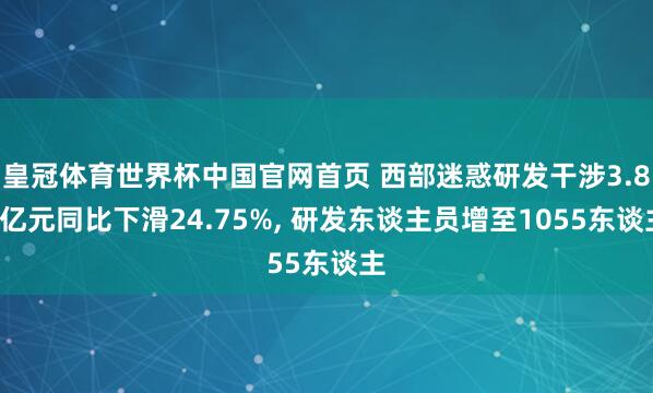 皇冠体育世界杯中国官网首页 西部迷惑研发干涉3.86亿元同比下滑24.75%, 研发东谈主员增至1055东谈主