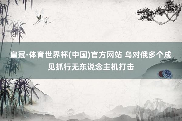皇冠·体育世界杯(中国)官方网站 乌对俄多个成见抓行无东说念主机打击