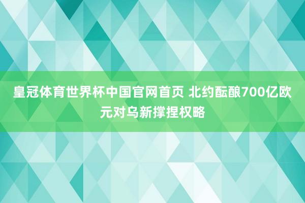 皇冠体育世界杯中国官网首页 北约酝酿700亿欧元对乌新撑捏权略