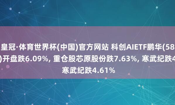 皇冠·体育世界杯(中国)官方网站 科创AIETF鹏华(589090)开盘跌6.09%, 重仓股芯原股份跌7.63%, 寒武纪跌4.61%