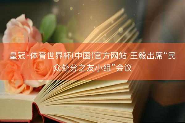 皇冠·体育世界杯(中国)官方网站 王毅出席“民众处分之友小组”会议