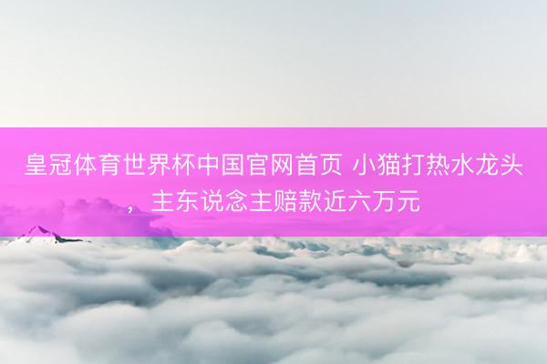 皇冠体育世界杯中国官网首页 小猫打热水龙头，主东说念主赔款近六万元