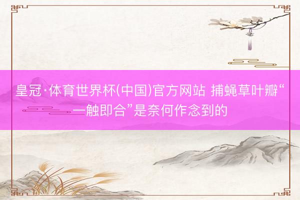 皇冠·体育世界杯(中国)官方网站 捕蝇草叶瓣“一触即合”是奈何作念到的